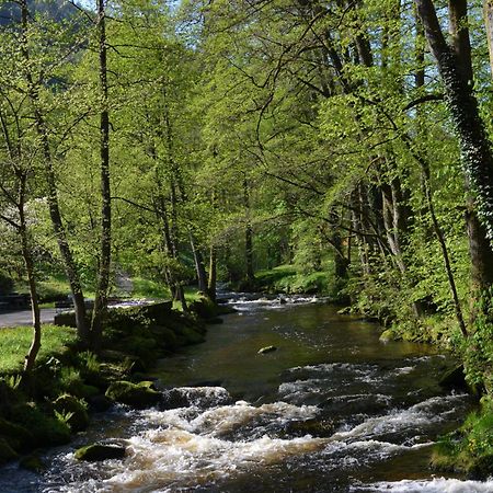 Wildbad Luft Bad Wildbad Exterior photo