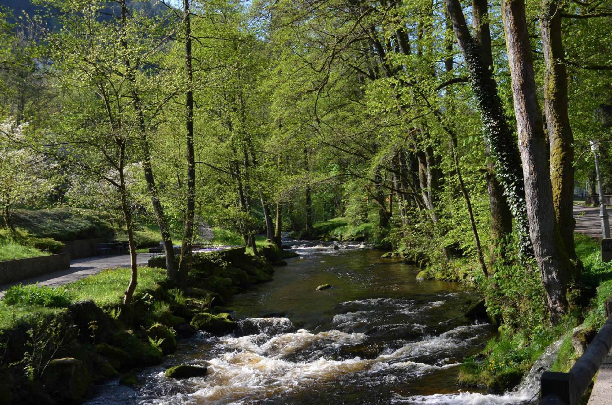 Wildbad Luft Bad Wildbad Exterior photo